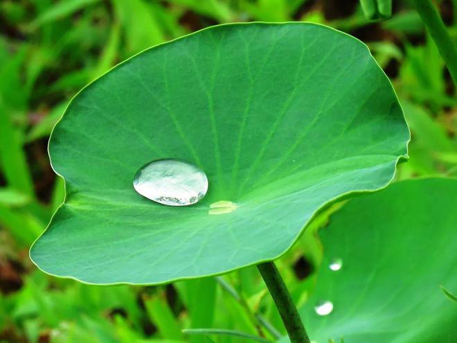 遇水就弹开雨天也能大胆穿！J9国际集团这双运动鞋竟然(图16)