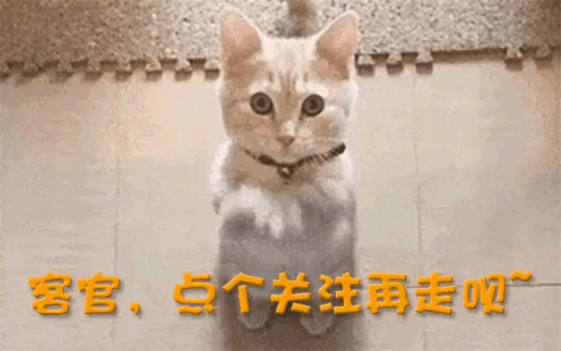 一中产最爱的电商平台停运曾叫板淘宝！j9九游会登录烧光3000万美元！又(图4)